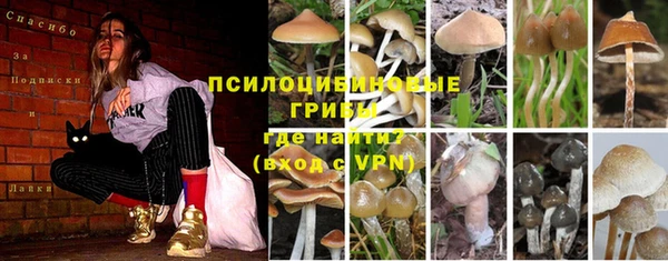 гидра Балахна