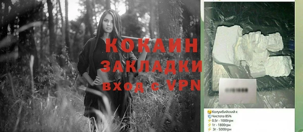 прущие грибы Армянск